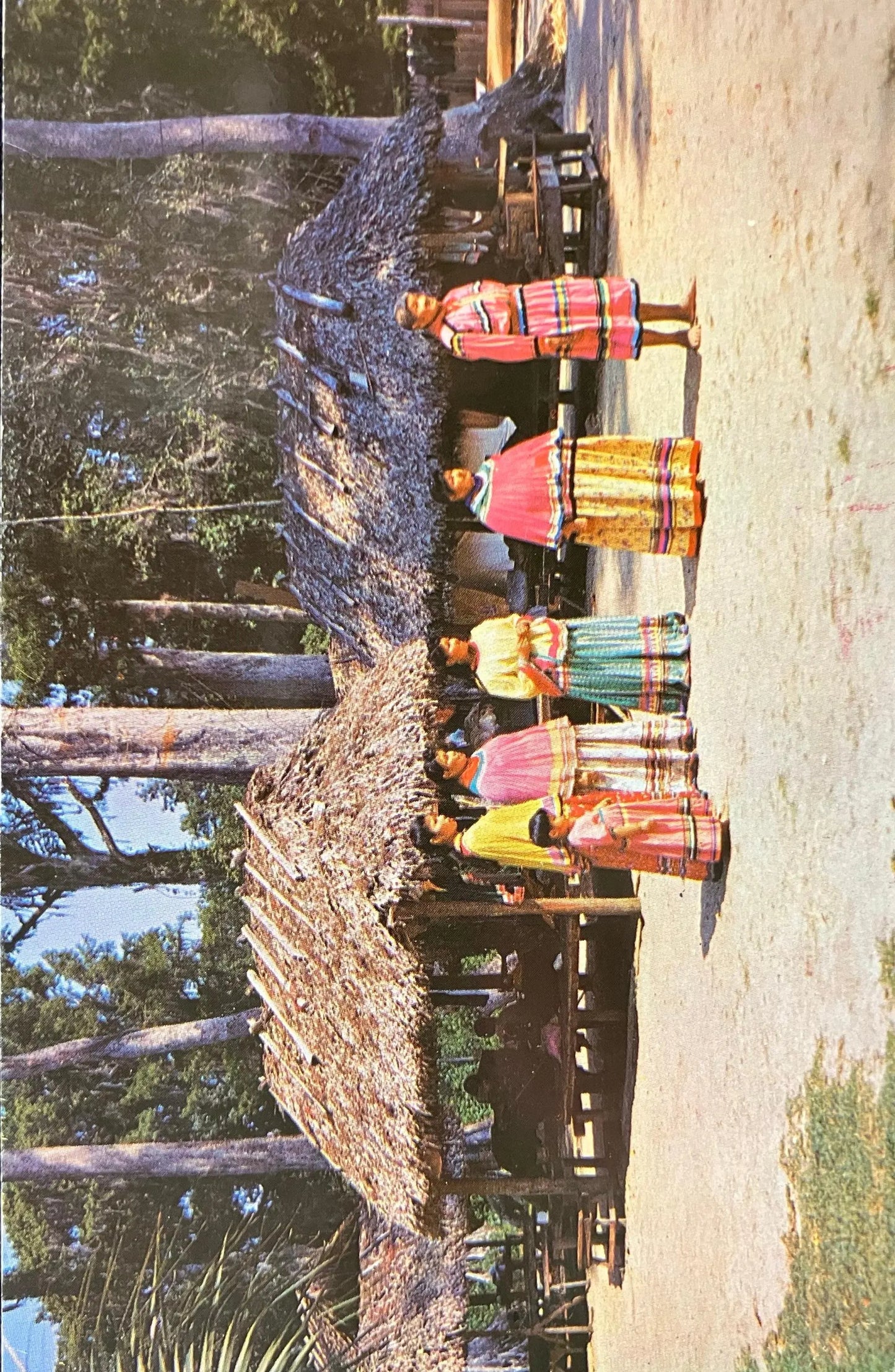 Seminole Indians at Ross Allen’s Reptile Institute - Silver Springs, Florida - Photo: H. W. Hannau - Vintage Postcard