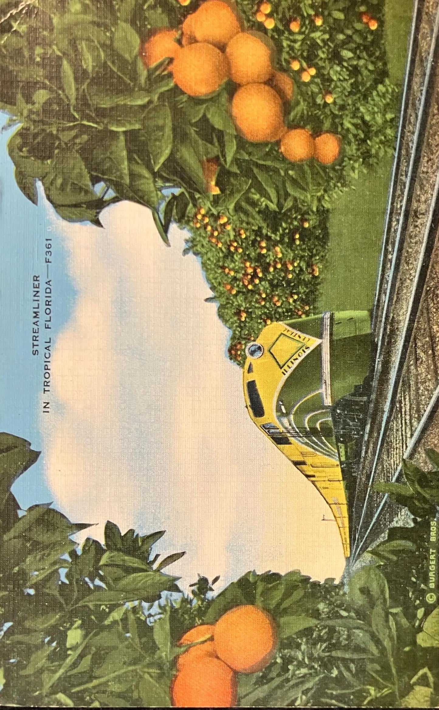 Streamliner in Tropical Florida - Vintage Postcard