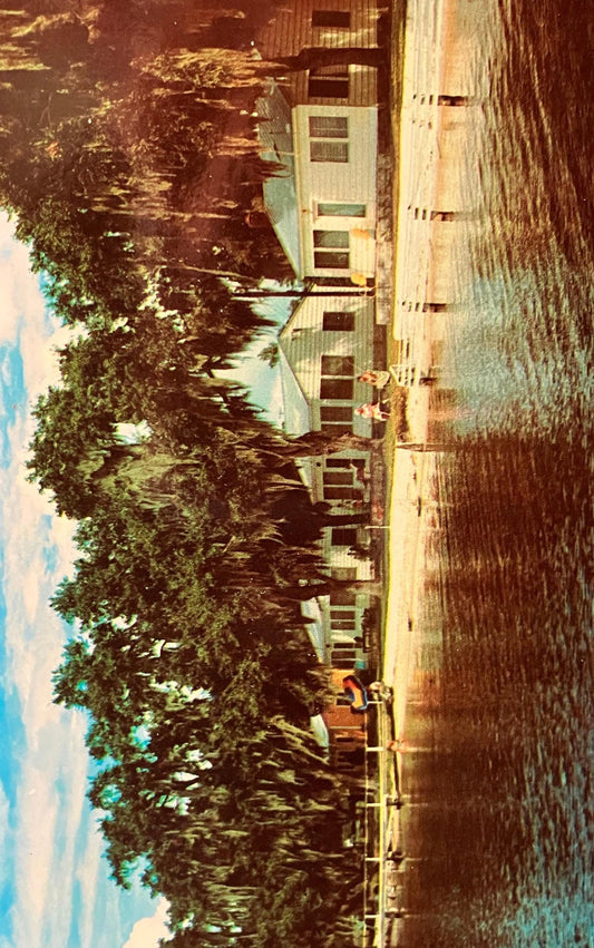 Lakeside Cottages in Minneola, Florida - Vintage Postcard