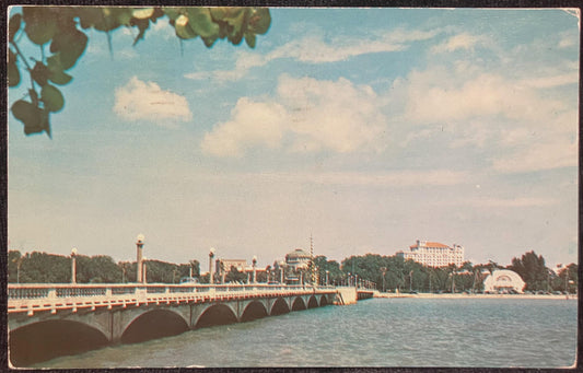 Skyline of Clearwater, Florida - Photo: H. W. Hannau - Vintage Postcard