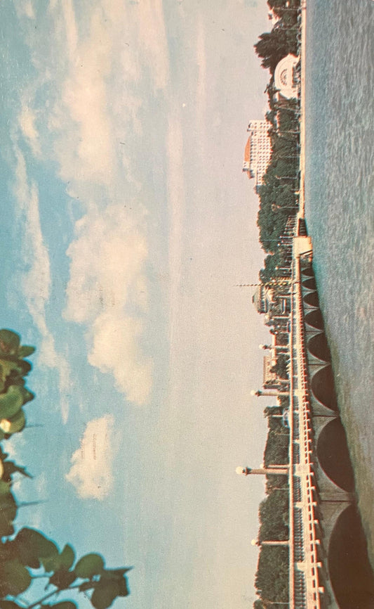 Skyline of Clearwater, Florida - Photo: H. W. Hannau - Vintage Postcard
