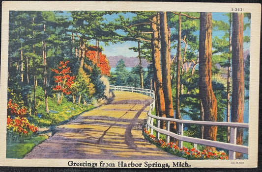Greetings from Harbor Springs, Michigan - Vintage Postcard