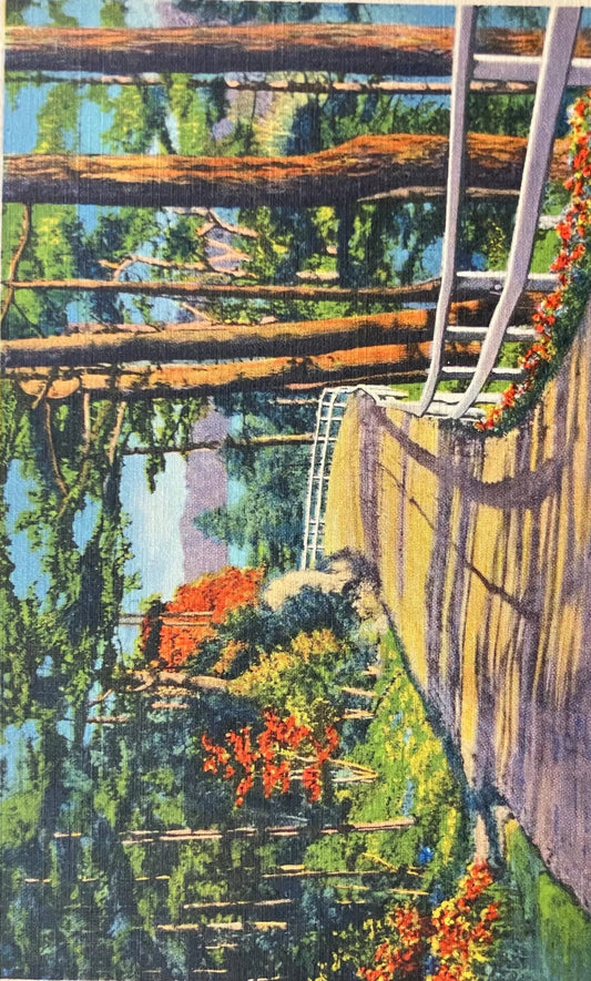 Greetings from Harbor Springs, Michigan - Vintage Postcard