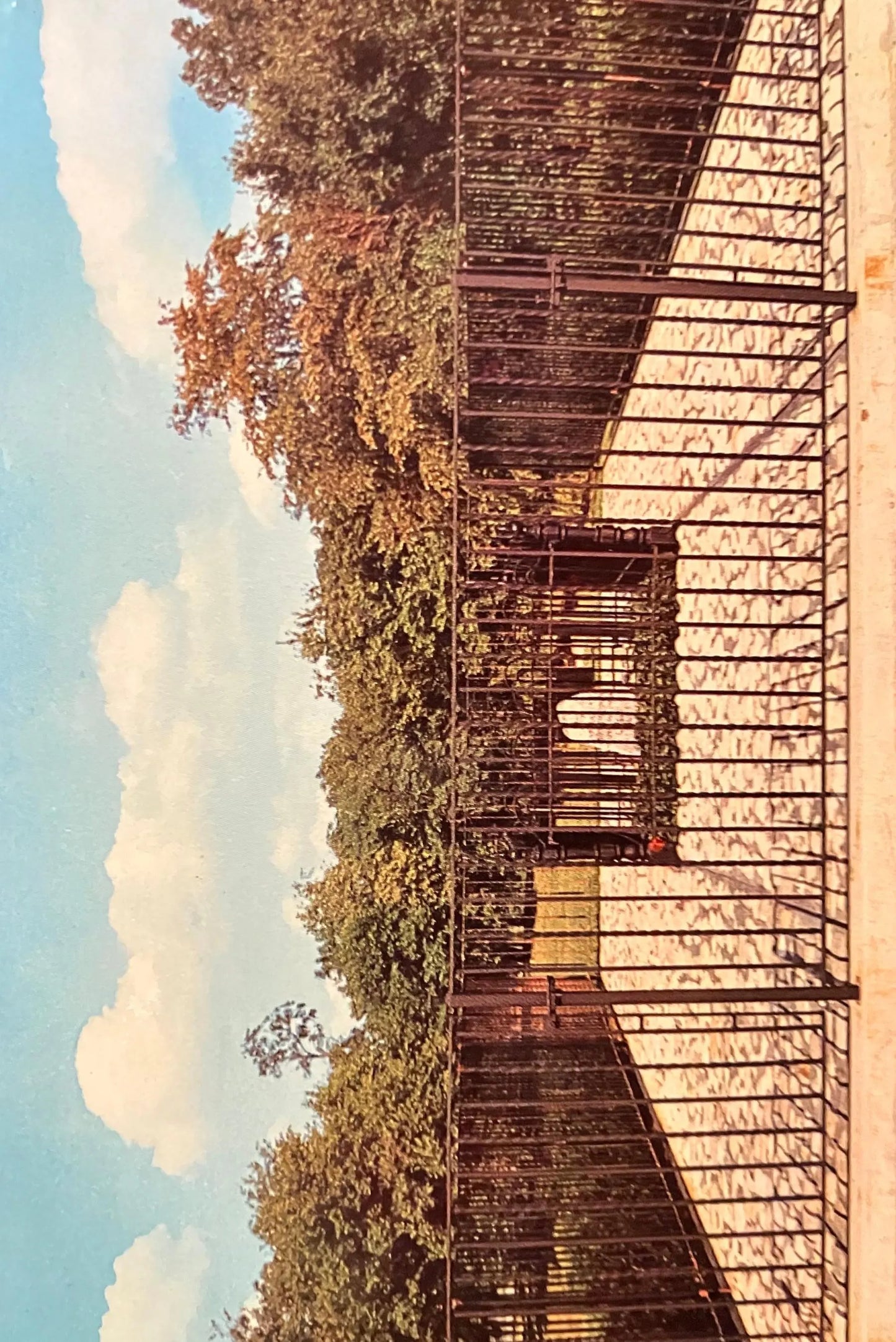 View of John Chapman’s Grave in Johnny Appleseed Park - Fort Wayne, Indiana - Photo: John V. Pontiere Jr. - Vintage Park Postcard
