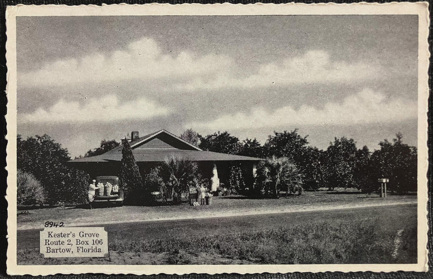 Kester’s Grove Route 2, Box 106 Bartow, Florida - Vintage Orchard Postcard