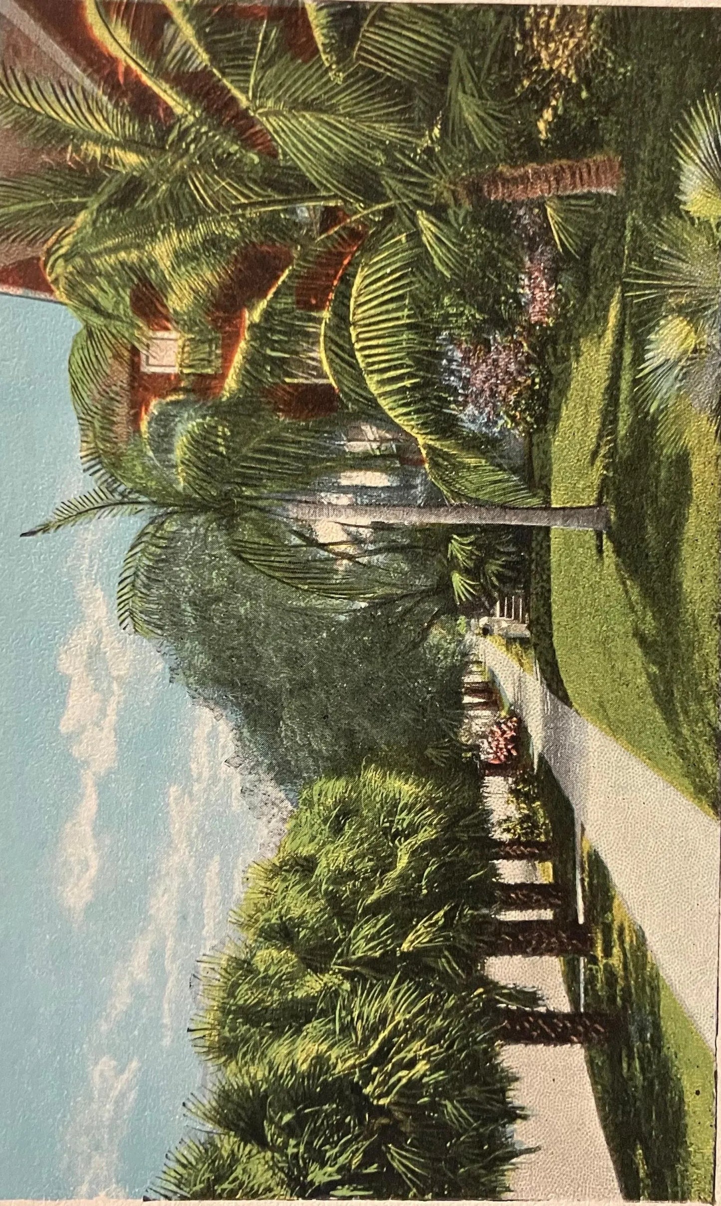 St. Petersburg, Florida, the Sunshine City - Second Avenue, North - Vintage Postcard