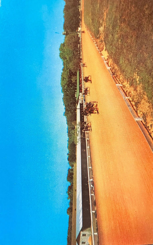 Spring Garden Ranch in DeLeon Springs, Florida - Photo: Fred Kent - Vintage Equestrian Postcard
