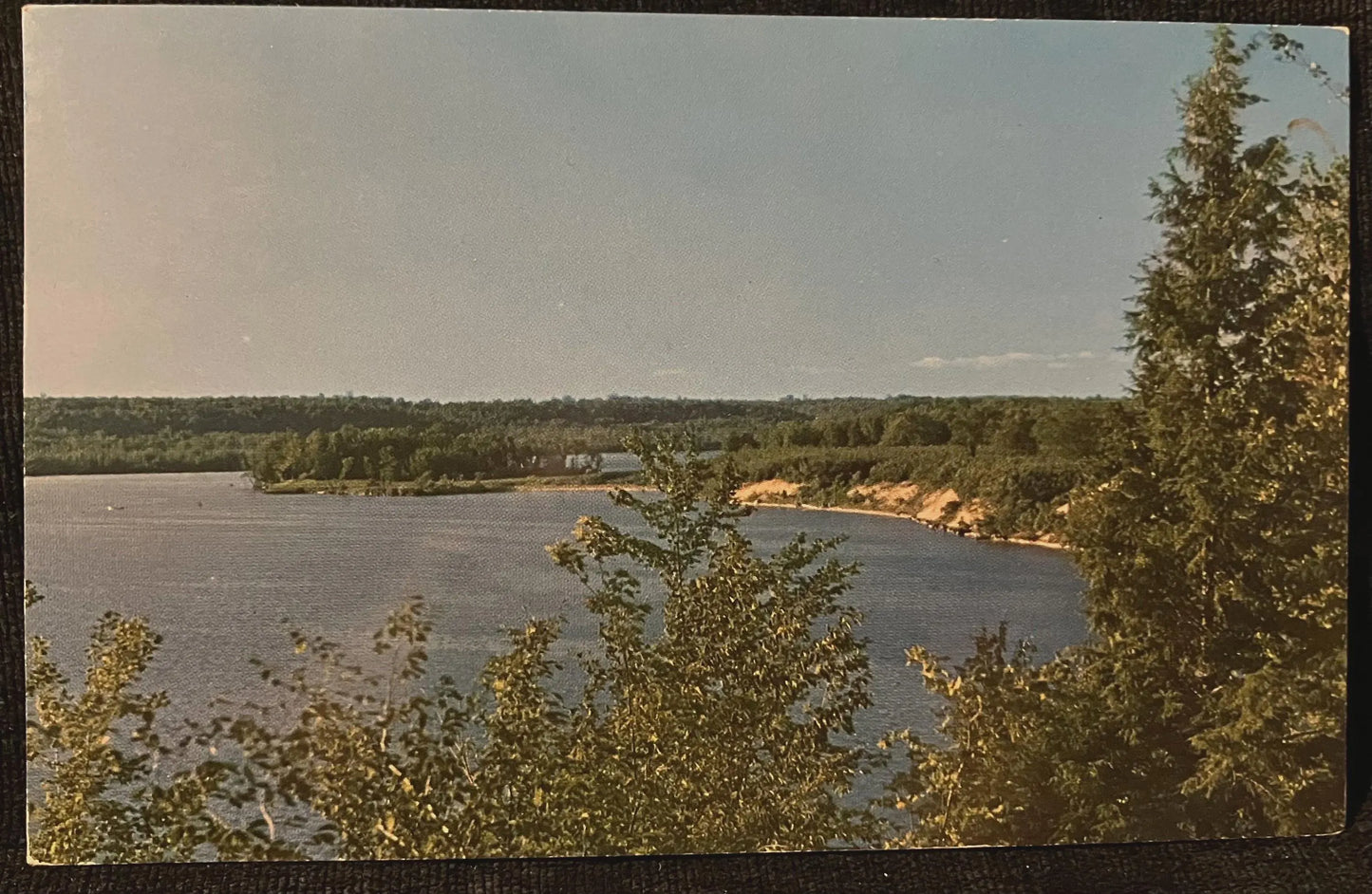 Michigan’s Hodenpyle Backwater on the Manistee River - Vintage Nature Postcard