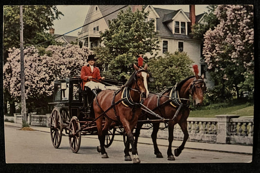 Lilac Time on Mackinac Island, Michigan - Photo: C. M. Haynes - Vintage Bridge Postcard