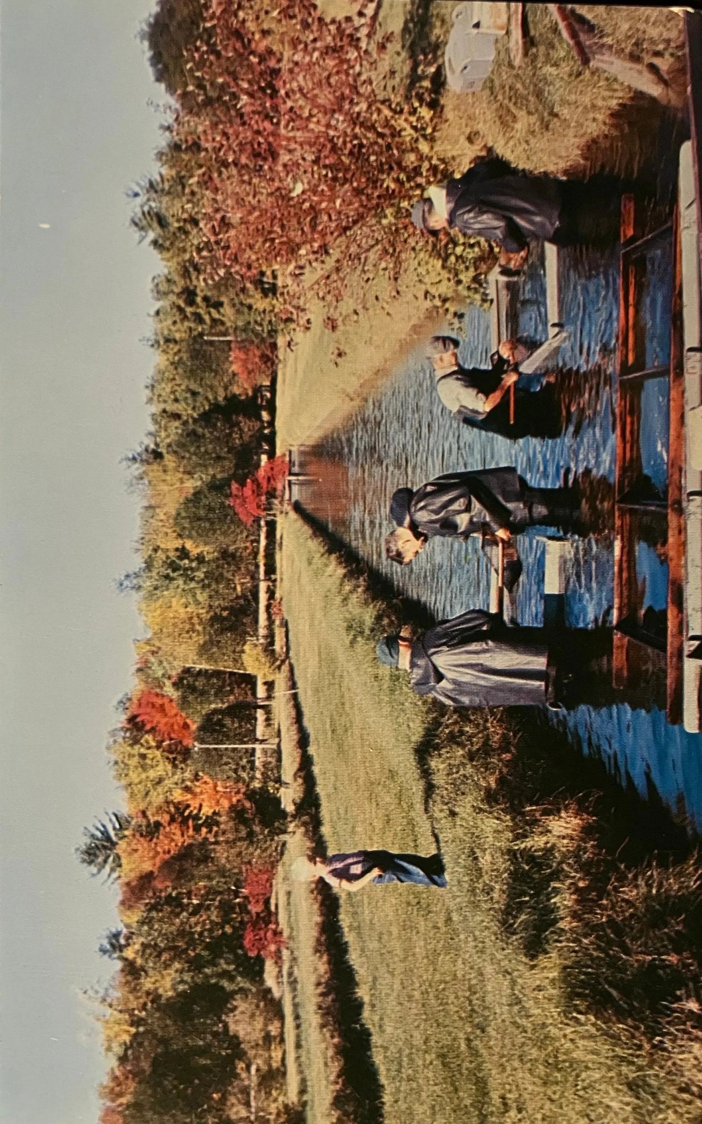 State Trout Rearing Farm in Baldwin, Michigan - Vintage Trout Farm Postcard