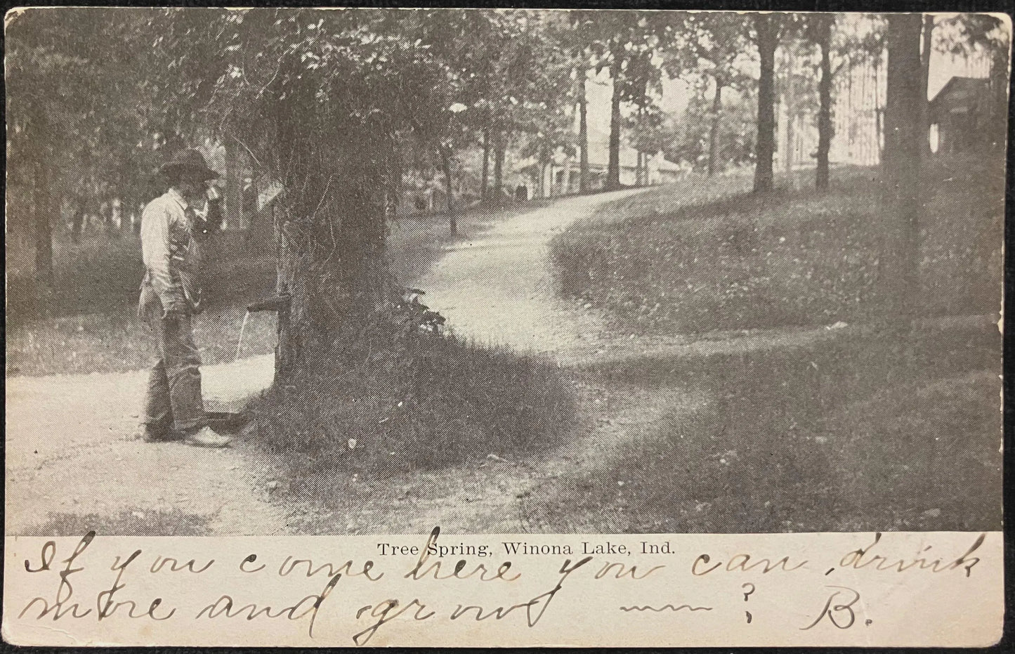 Tree Spring, Winona Lake, Indiana - Vintage Postcard