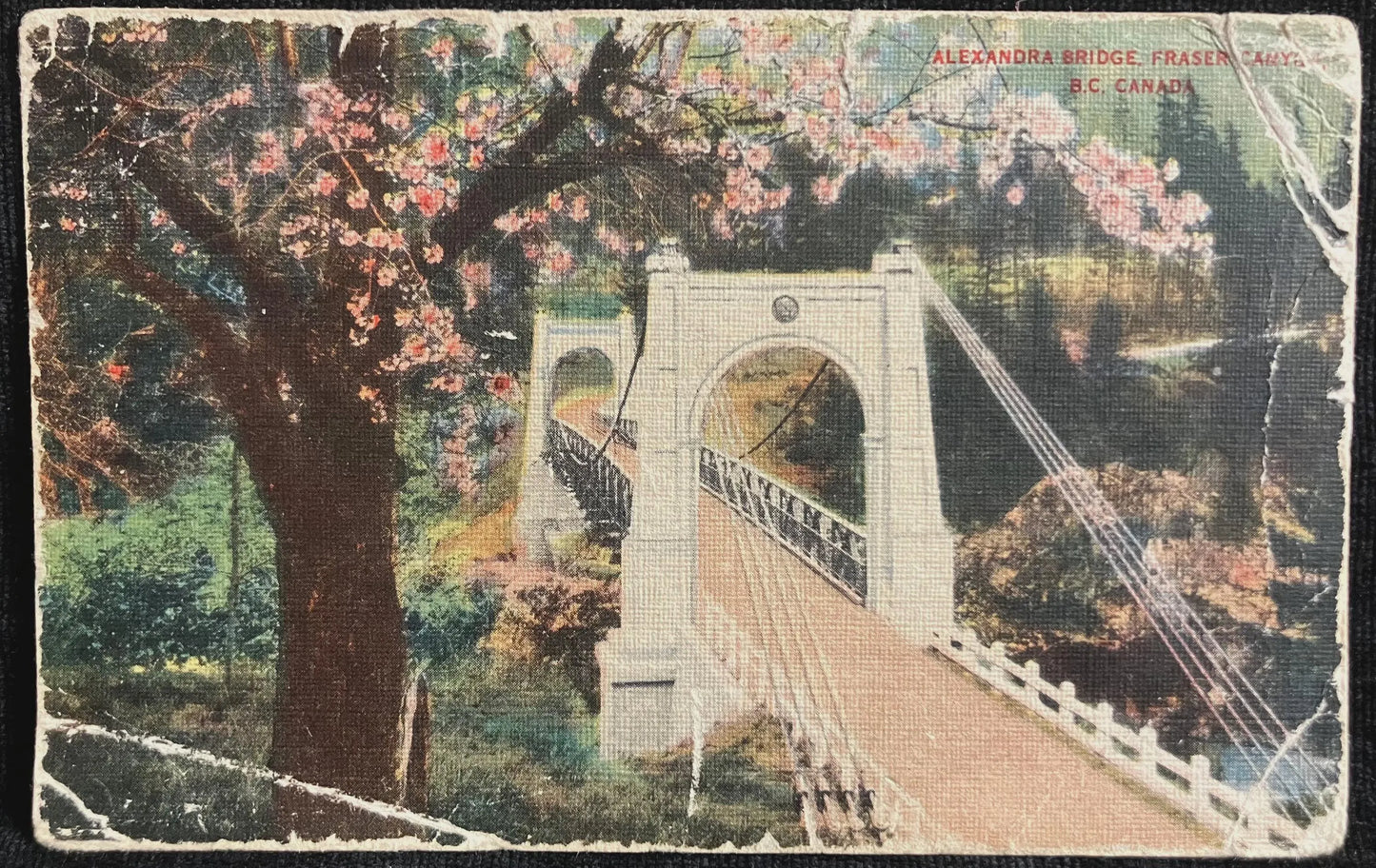 Alexandra Bridge, Fraser Canyon, B.C. Canada - Vintage Postcard