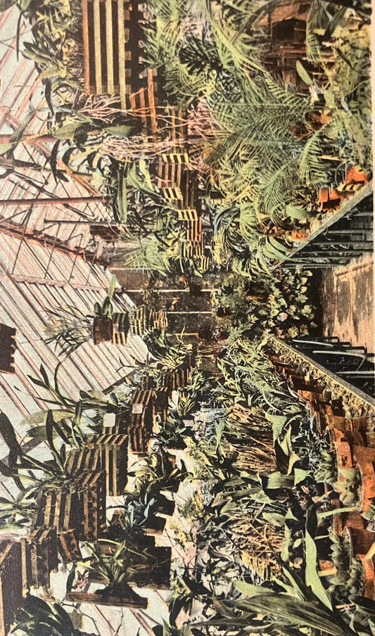 Shaw’s Garden, St. Louis, Missouri - Made in Germany - Vintage Postcard