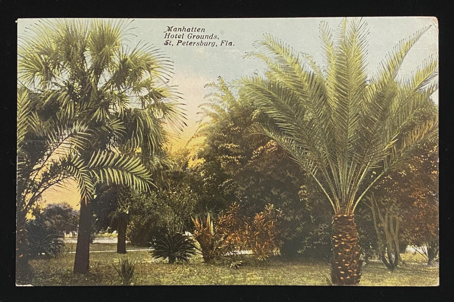Manhattan Hotel Grounds, St. Petersburg, Florida - Vintage Postcard