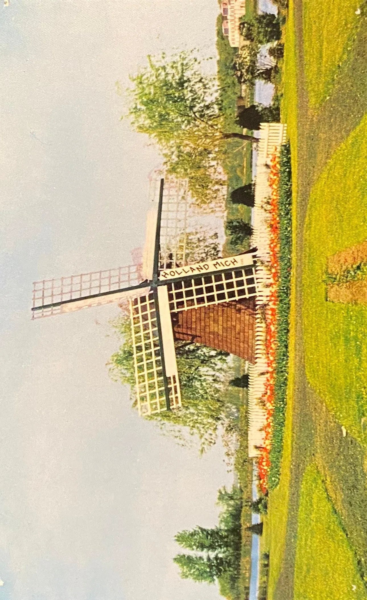 Windmill Park, Holland, Michigan - 1955 Vintage Postcard