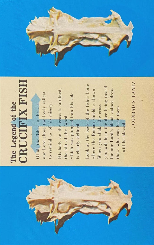 Legend of the Crucifix Fish - Vintage Religious Postcard