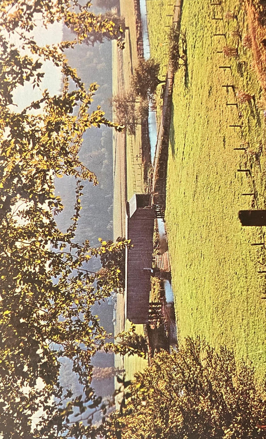 Historic Covered Bridge over Grays River in Wahkiaku County, Washington - Grays River Bridge - Vintage Postcard
