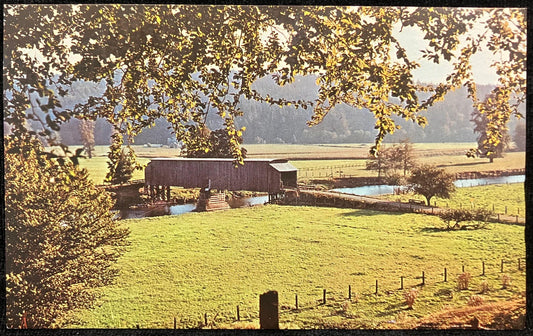 Historic Covered Bridge over Grays River in Wahkiaku County, Washington - Grays River Bridge - Vintage Postcard