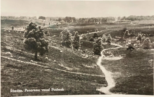 RPPC - Rheden, DE Steeg Panorama vanaf Posbank- Vintage International Real Photo Postcard