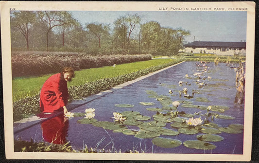 Lily Pond in Garfield Park, Chicago, Illinois - Vintage Park Postcard