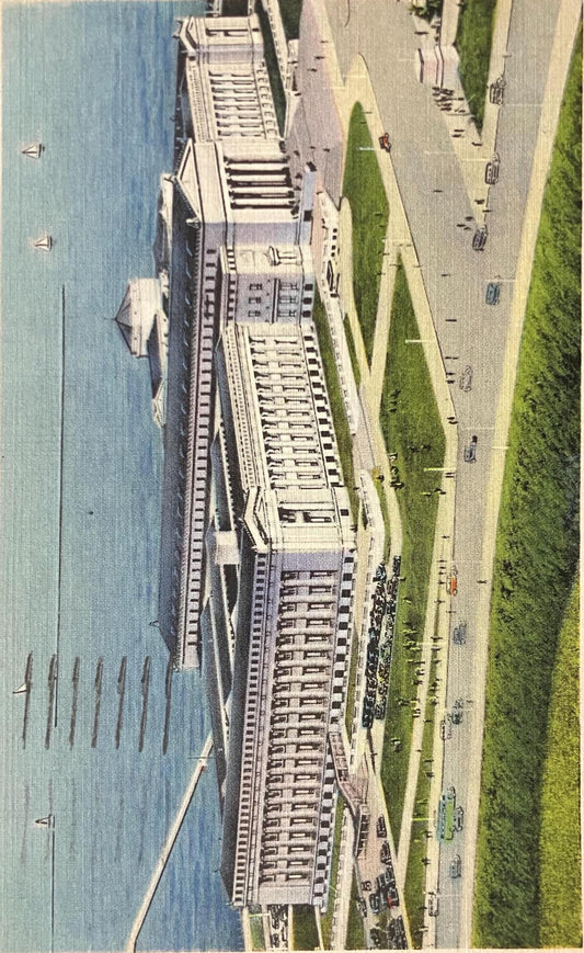 The Field Museum of Natural History, Chicago - Photo: Mario Scacherl - A. Lenke Studio, Chicago - Vintage Museum Postcard