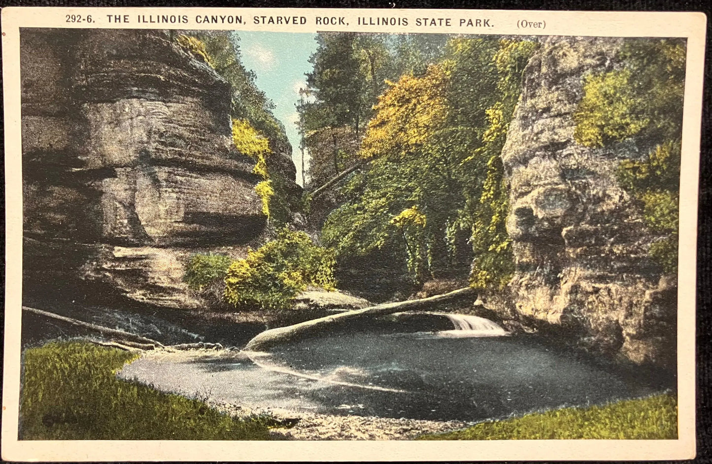 The Illinois Canyon, Starved Rock, Illinois State Park - Vintage Park Postcard