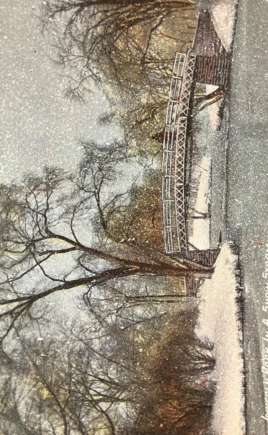 Lincoln Park in a Snowstorm - Illinois - Vintage Park Postcard