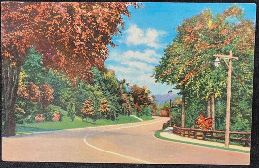 Greetings from Buchanan, Michigan - Vintage Postcard