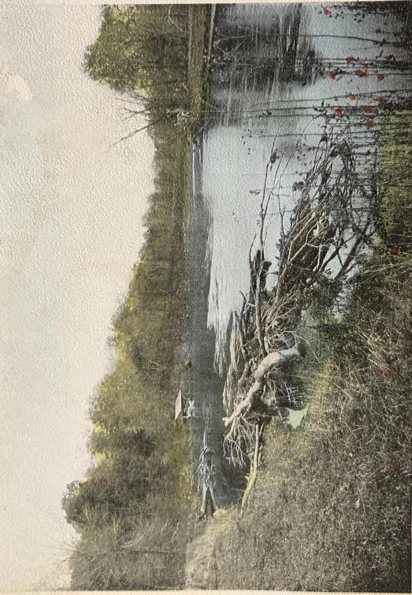 Scene on the Beautiful Paw Paw, near Benton Harbor, Michigan - E. C. Kropp Milwaukee, - Vintage Postcard