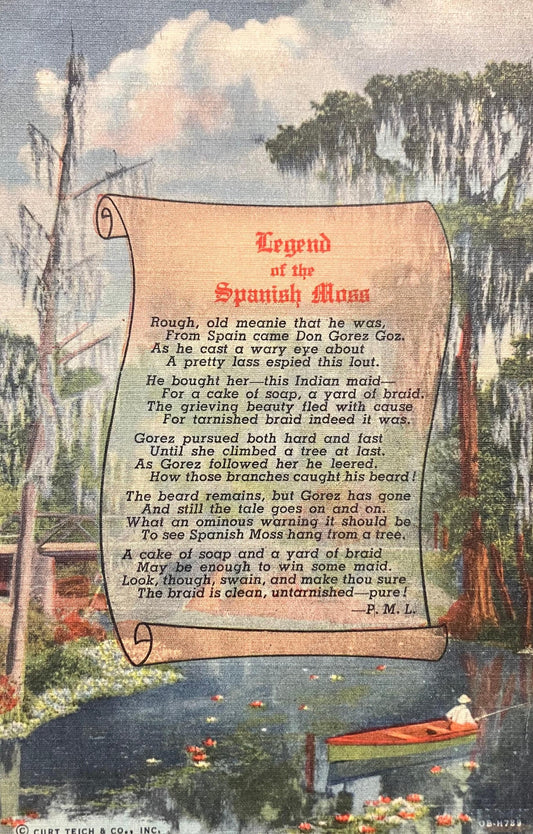 Legend of the Spanish Moss by P. M. L. - Curt Teich & Co. Inc. - Florida - Vintage History Postcard