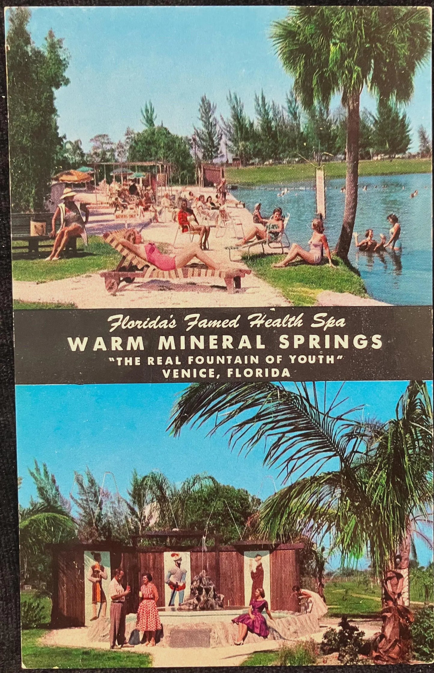 Florida’s Famed Health Spa Warm Mineral Springs “The Real Fountain of Youth” Venice, Florida - Vintage Springs Postcard