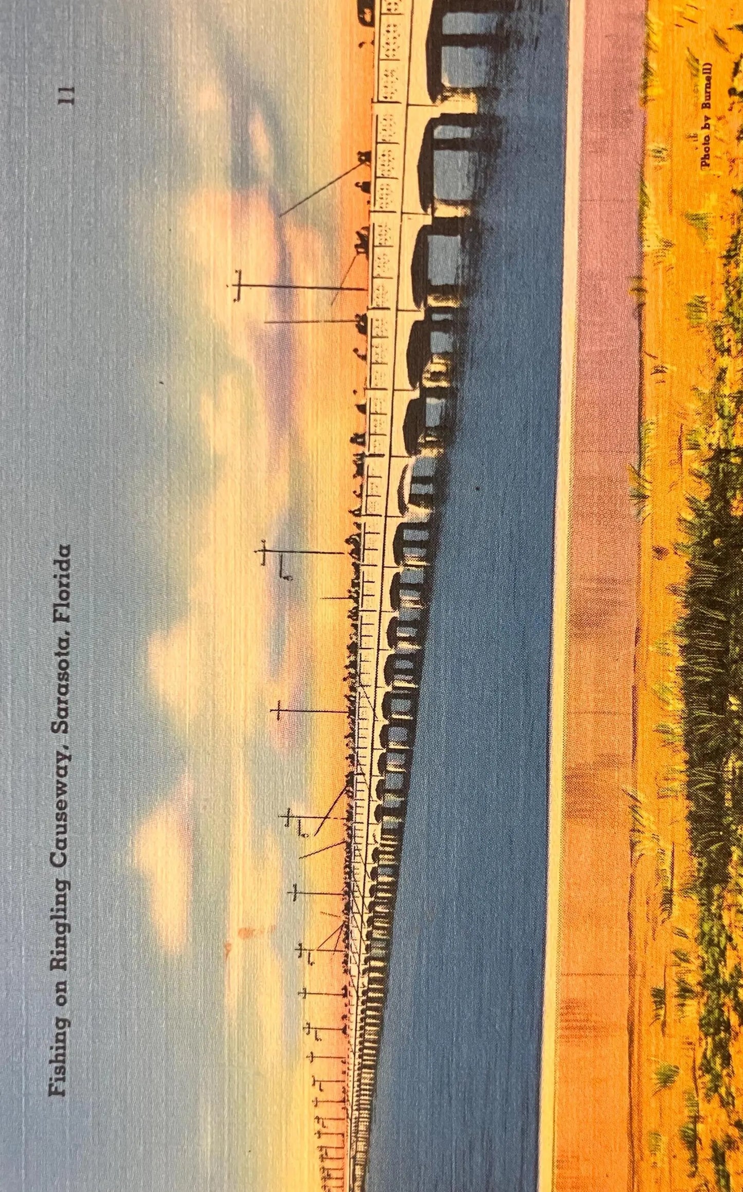 Fishing on Ringing Causeway, Sarasota, Florida - Vintage Linen Bridge Postcard