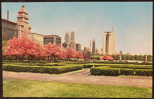 Grant Park and Skyline - Chicago, Illinois - Vintage Park Postcard
