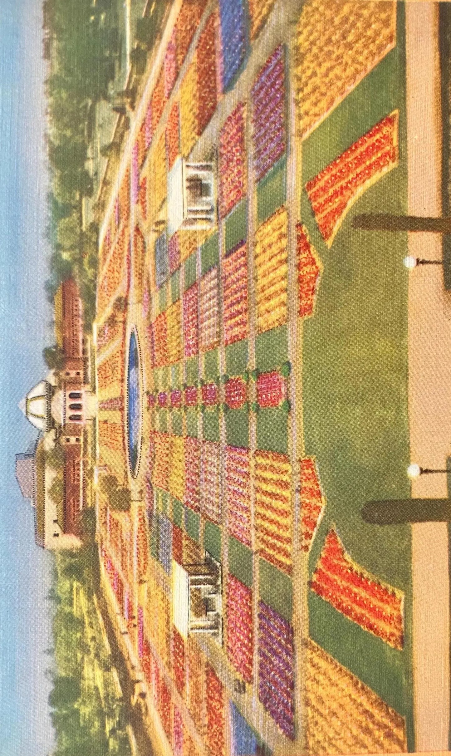 Sunken Gardens, Exposition Park, Los Angeles, California - Vintage Park Postcard