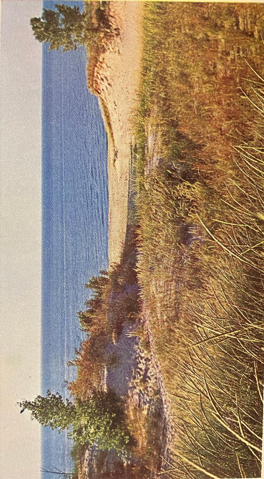 Indiana Dunes National Lakeshore - Vintage Lakeside Postcard