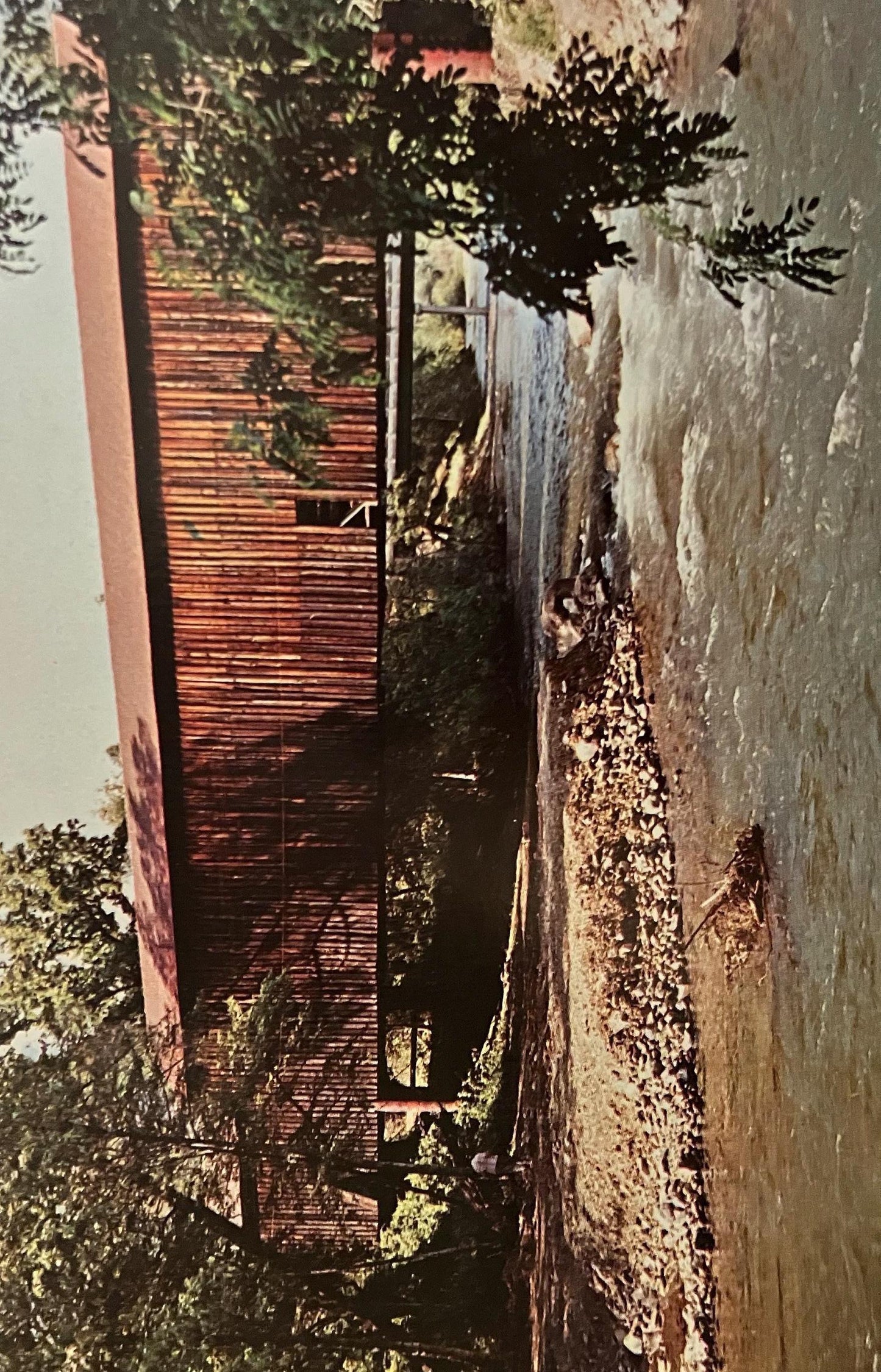 Honey Run Covered Bridge near Chico, California - Vintage Covered Bridge Postcard