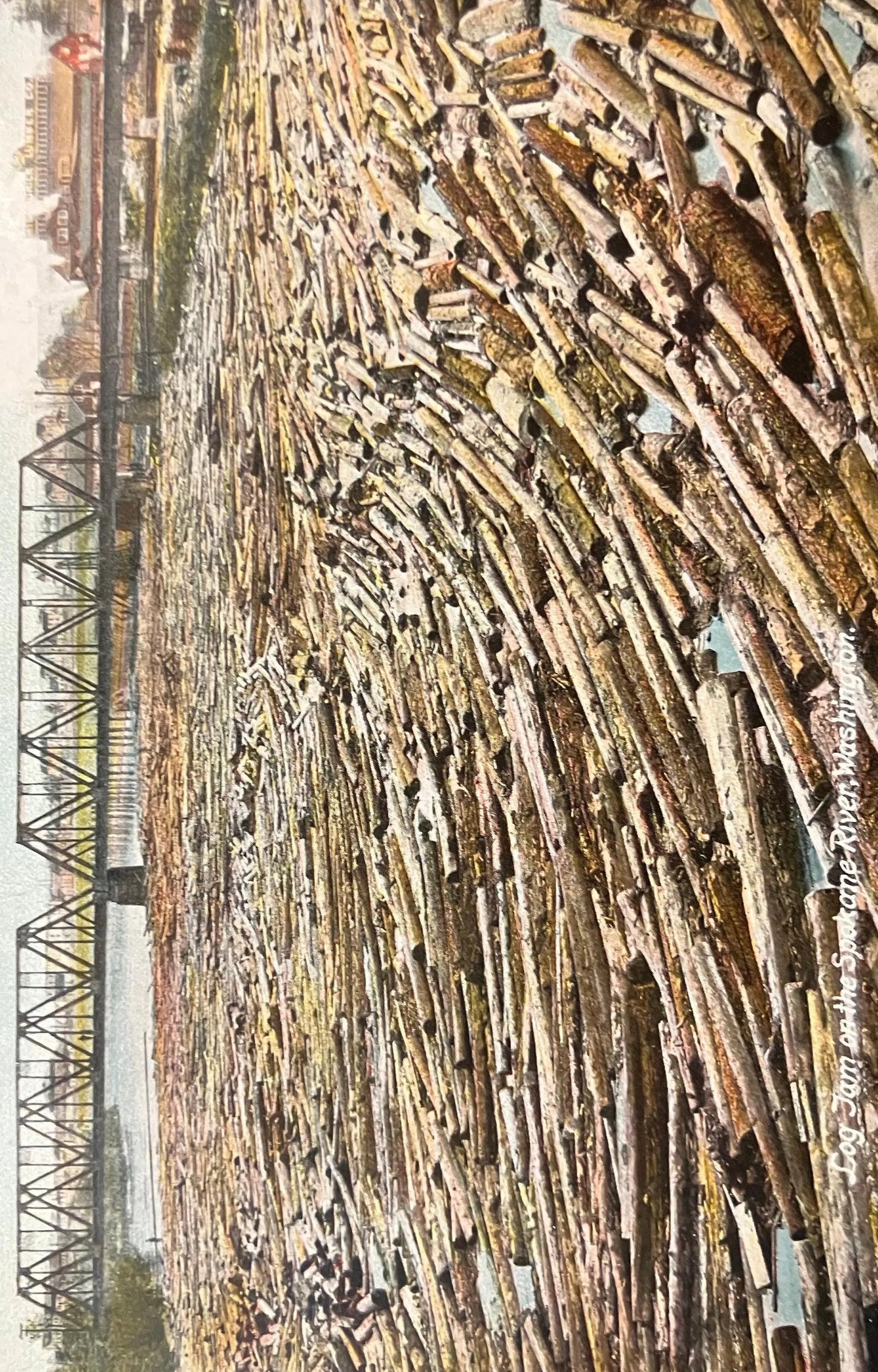 Log Jam on the Spokane River, Washington - Vintage Postcard