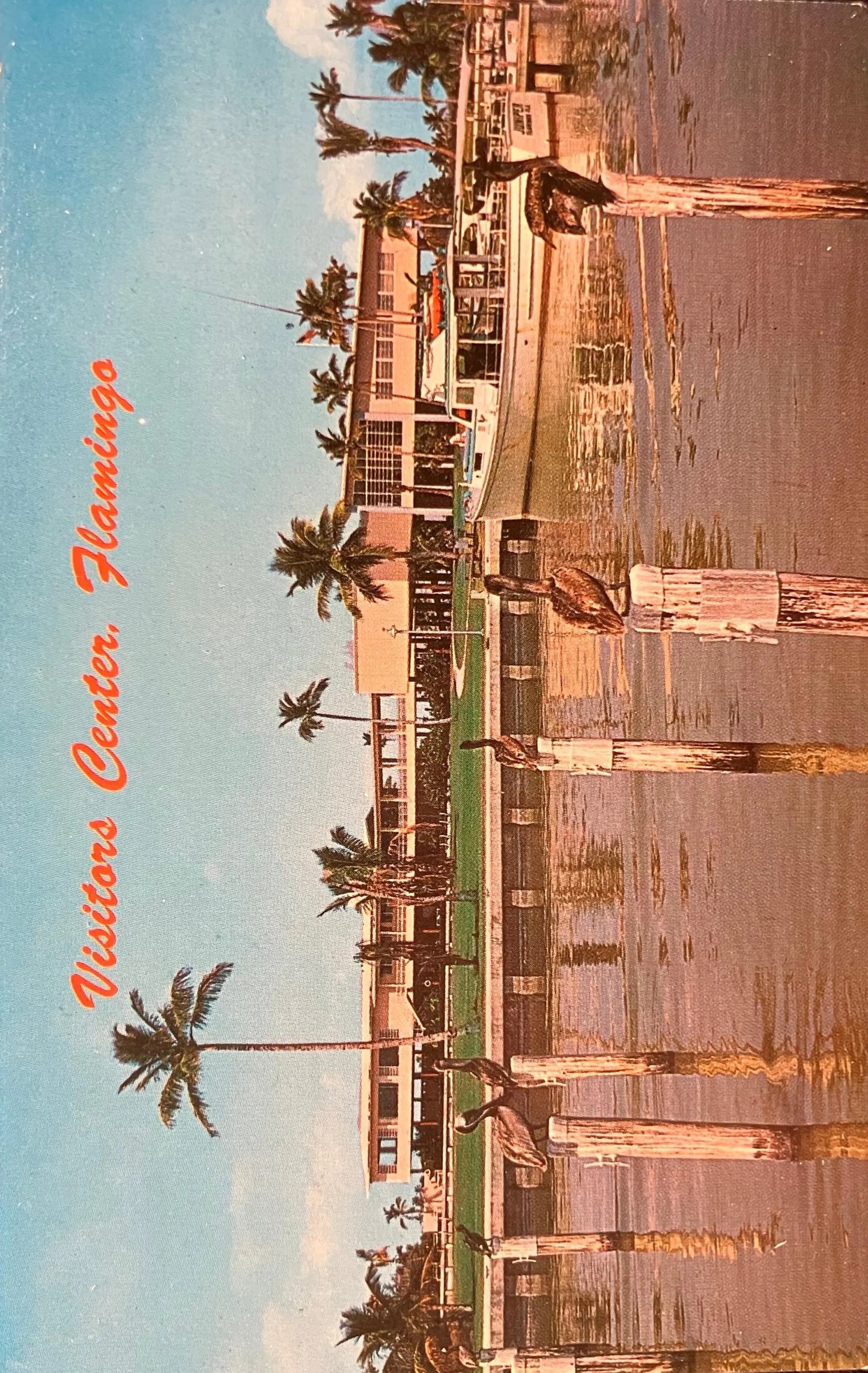 Visitors Center, Flamingo - Everglades National Park - Florida - Photo: W E. Schwinn - Vintage Postcard