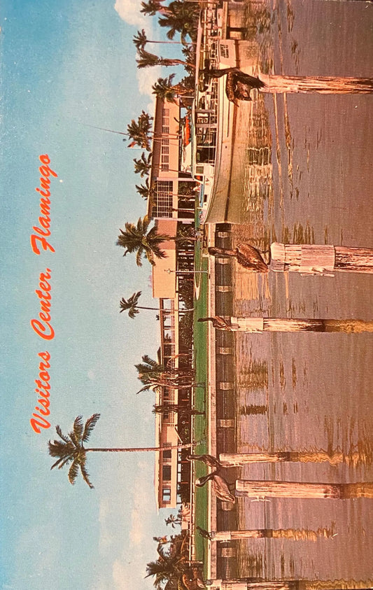 Visitors Center, Flamingo - Everglades National Park - Florida - Photo: W E. Schwinn - Vintage Postcard