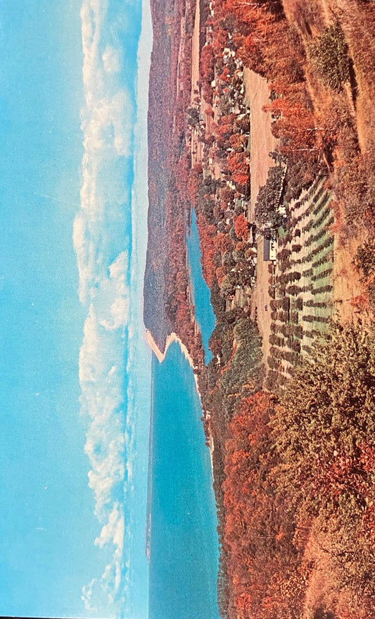 Lake Michigan - Color Photo: Rader - Vintage Lake Postcard