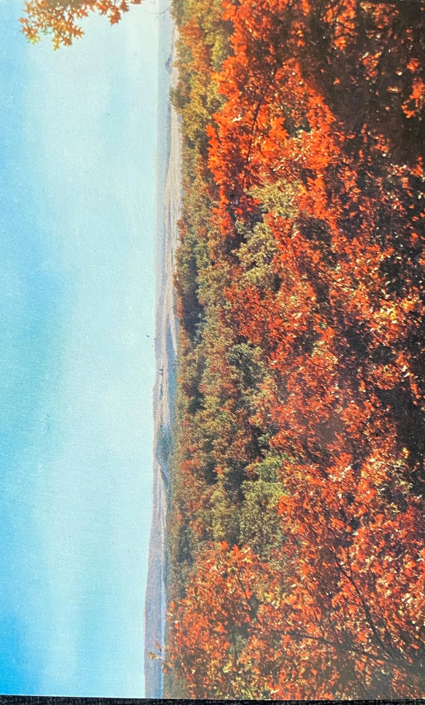 Autumn View across Silver Lake Dunes, Michigan - Anscochrome: Hoyt Louis Avery - Vintage Postcard
