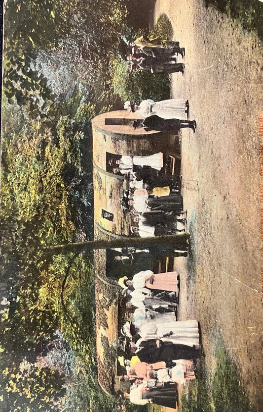 Spruce Log, Palmer Park, Detroit, Michigan - Vintage Park Postcard