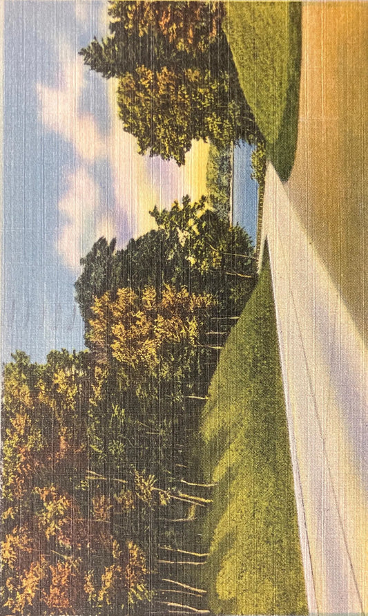 Greetings from Alma, Michigan - Vintage Postcard