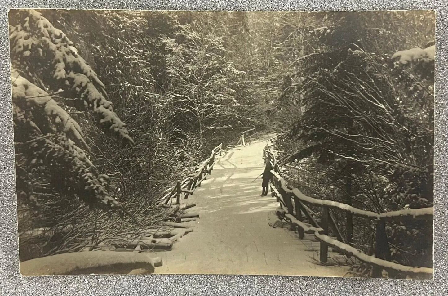 Winter Trail and Bridge Scene, Paw Paw, Michigan - Vintage Postcard