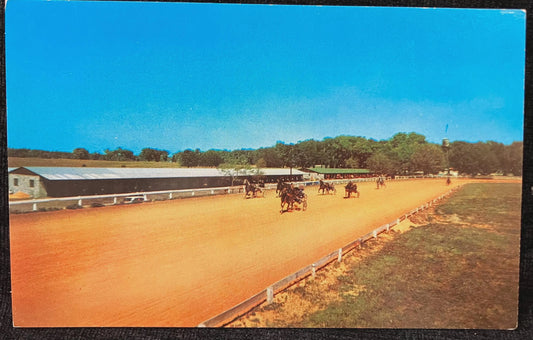 Spring Garden Ranch in DeLeon Springs, Florida - Photo: Fred Kent - Vintage Equestrian Postcard