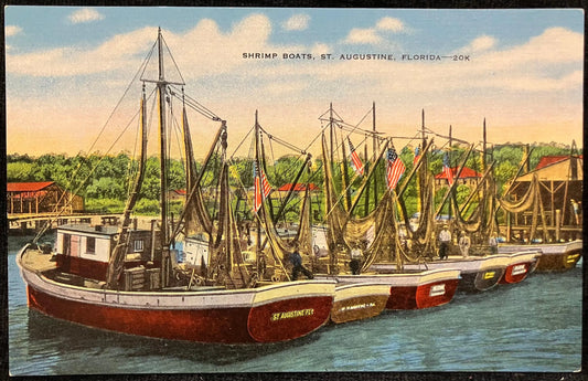 Shrimp Boats, St. Augustine, Florida - Vintage Boat Postcard