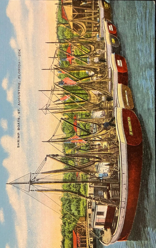 Shrimp Boats, St. Augustine, Florida - Vintage Boat Postcard