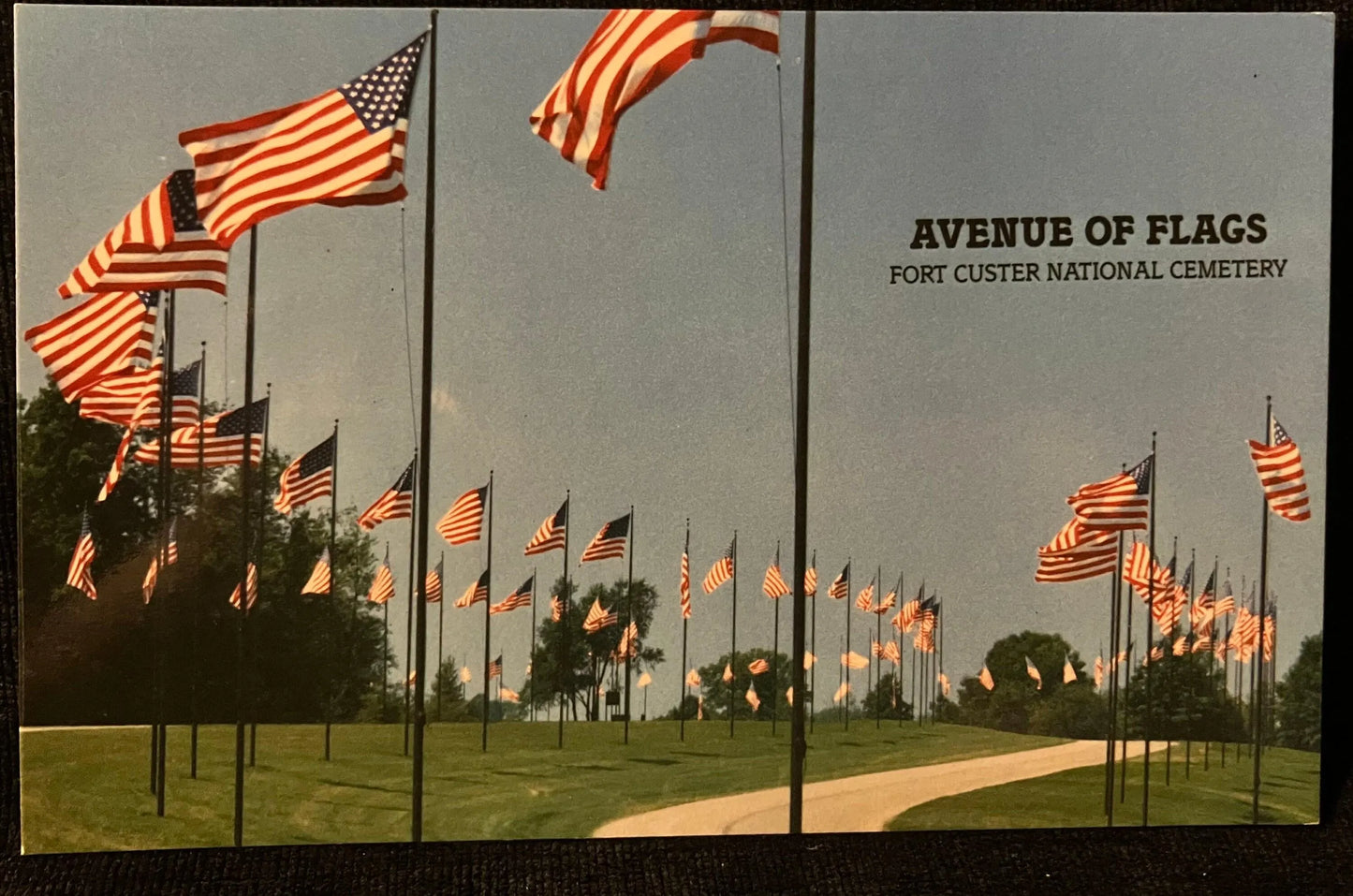 Avenue of Flags Fort Custer National Cemetery - Augusta, Michigan - Vintage Armed Services Postcard
