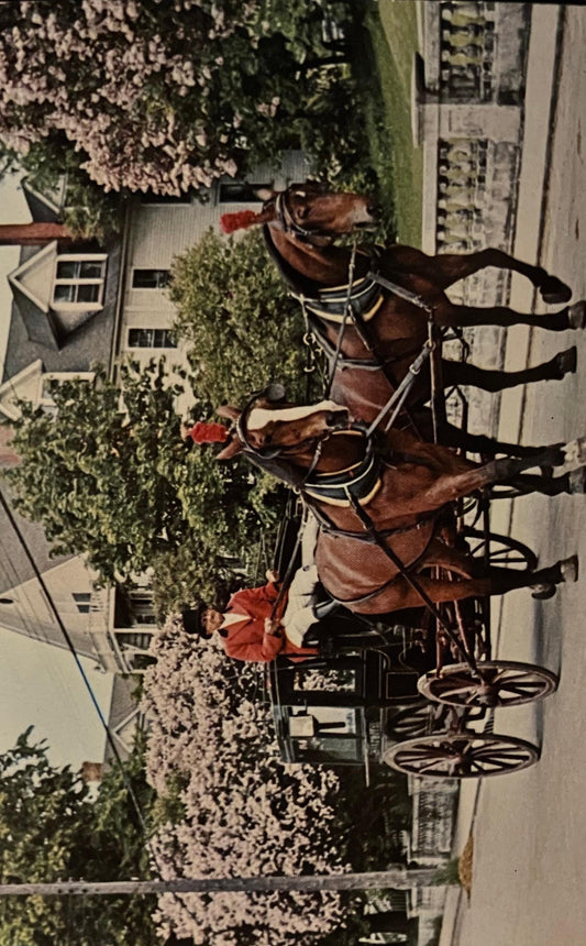 Lilac Time on Mackinac Island, Michigan - Photo: C. M. Haynes - Vintage Bridge Postcard