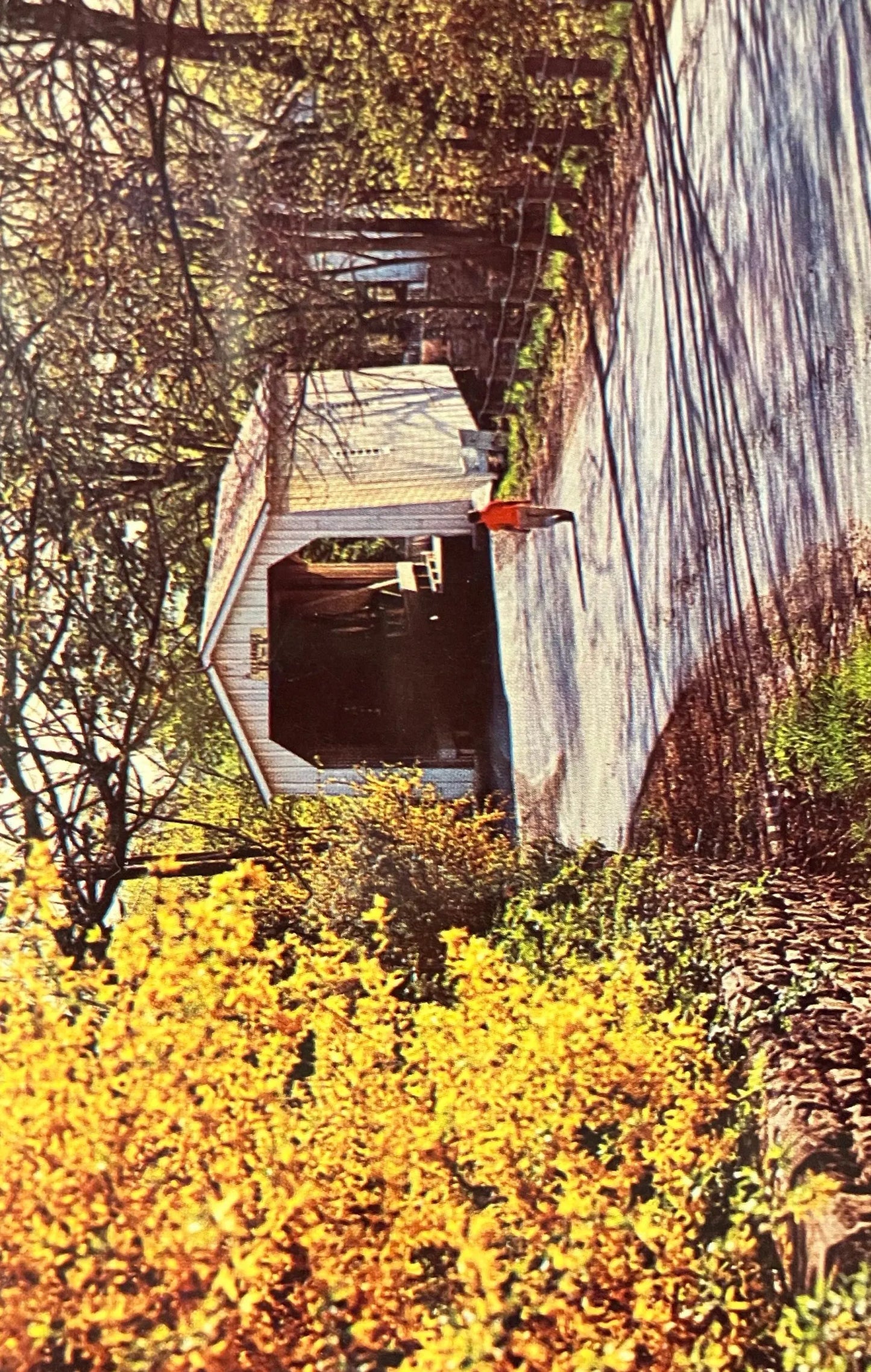 Green Sergeant’s Covered Bridge in Hunterdon County, New Jersey - Vintage Bridge Postcard